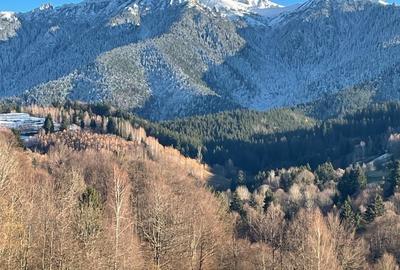 Teren de 10000 mp, în Bran - 3