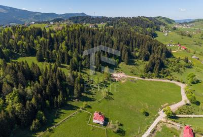 Teren Construcții intravilan de 15771 mp, în Fundata - 13