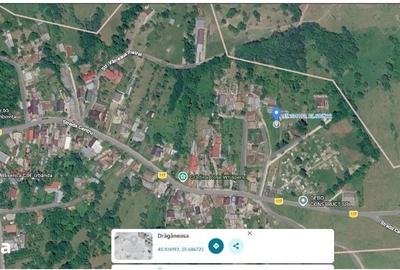 Casă cu 4 camere cu Teren 649 Mp în Provița de Jos