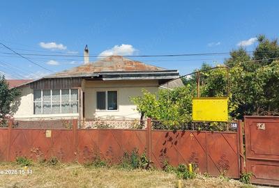 Casă cu Teren 2500 Mp în Șerbănești - 8