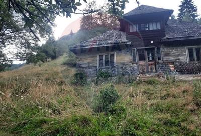 Teren agricol extravilan de 38704 mp, în Șirnea - 8