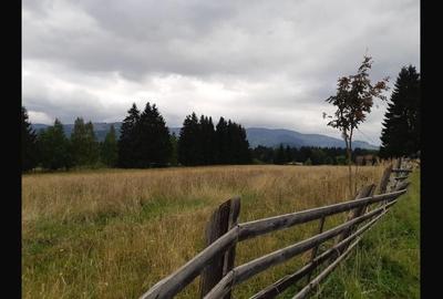Teren de 6770 mp, în Șaru Dornei - 2