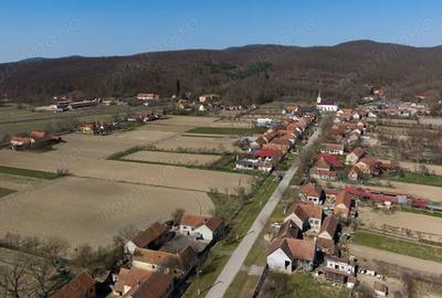 Teren de 2970 mp, în Odvoș - 9