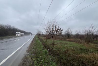 Teren Construcții extravilan de 8874 mp, în Tărtășești - 2