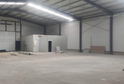 Spațiu industrial, de 540 mp, în Moara Domnească - 3