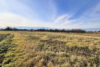 Teren Construcții intravilan de 2500 mp, în Felcheriu - 8