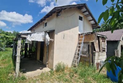 Casă individuală cu 2 camere cu Teren 2500 Mp în Sterea - 7