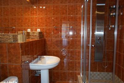 Spațiu comercial, de 393 mp, în Ștrand - 11