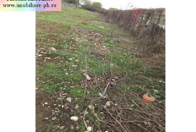 Teren Construcții intravilan de 440 mp, în Bereasca - 5