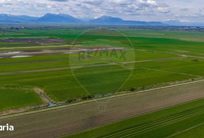 Teren de 4000 mp, în Prejmer - 10
