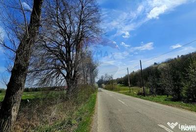 Teren în Nemțișor