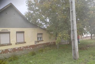 Casă în Pecica