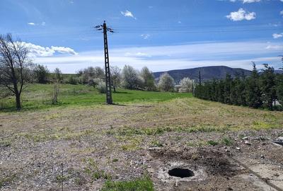 Teren de 3100 mp, în Moldovenești - 8