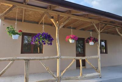 Casă cu 2 camere în Santăul Mare - 6