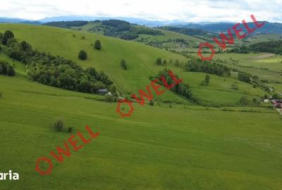 Teren de 4721 mp, în Barcani - 5
