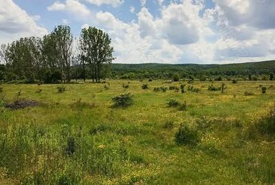 Teren de 1500 mp, în Merișani - 4