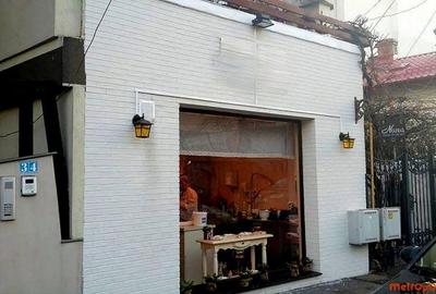 Spațiu comercial, de 36 mp, în Pache Protopopescu