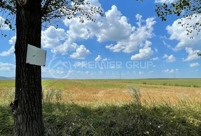 Teren agricol extravilan de 7000 mp, în Miroslava - 1