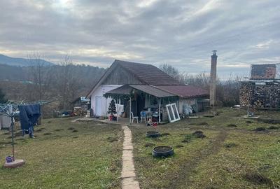 Casă cu 2 camere cu Teren 5800 Mp în Herina - 1