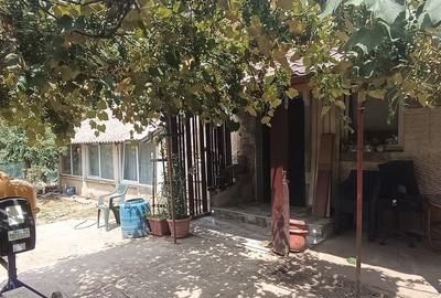 Casă cu 3 camere în Ghindeni
