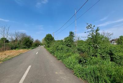 Teren Construcții intravilan de 3300 mp, în Vlădiceasca - 3