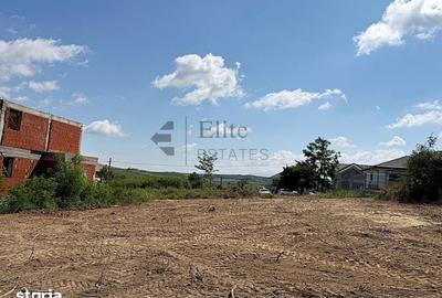 Teren de 542 mp, în Paleu - 1