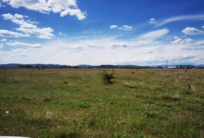 Teren de 7500 mp, în Central