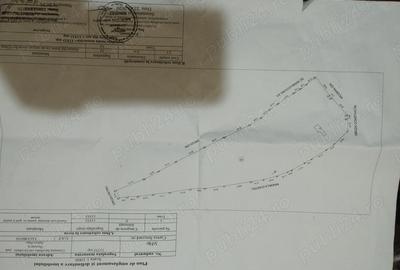 Teren de 15791 mp, în Iacobeni