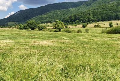 Teren agricol intravilan de 1900 mp, în 13 Decembrie - 1