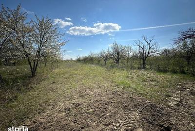 Teren de 1820 mp, în Gura Vitioarei