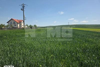 Teren de 2600 mp, în Mitocu Dragomirnei - 8