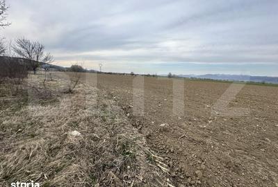 Teren de 32000 mp, în Băcia - 4