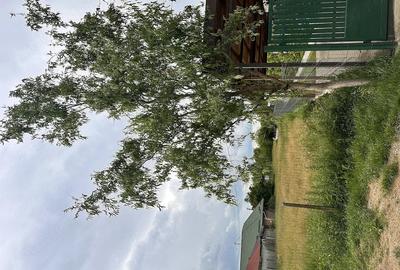 Teren de 1767 mp, în Lipănești