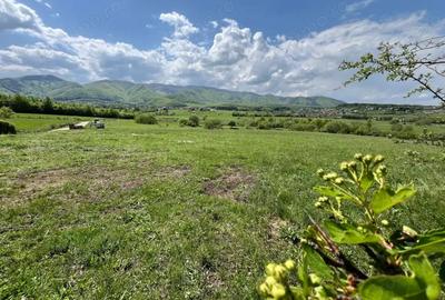 Teren de 600 mp, în Central - 3