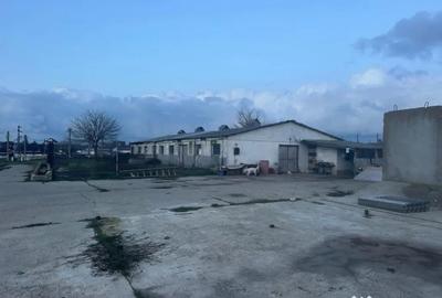 Teren în Valu lui Traian - 4