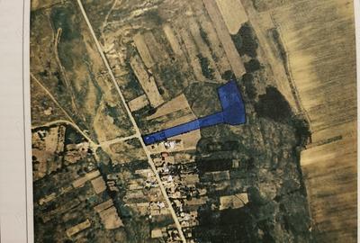 Teren de 11877 mp, în Găureni - 3