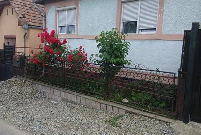 Casă cu Teren 444 Mp în Șeica Mare - 4