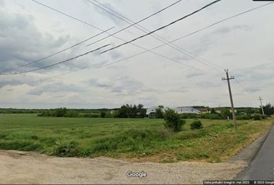 Teren Construcții intravilan de 10000 mp, în Dragomirești-Vale - 3