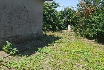 Casă cu 2 camere cu Teren 1000 Mp în Alexandru Odobescu - 5
