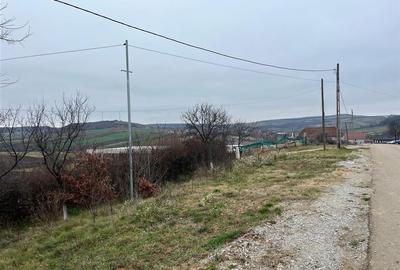 Teren Construcții intravilan de 500 mp, în Hidișelu de Sus - 5