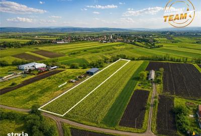 Teren de 5800 mp, în Ilieni - 6
