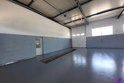 Spațiu industrial, de 200 mp, în Cristian - 6