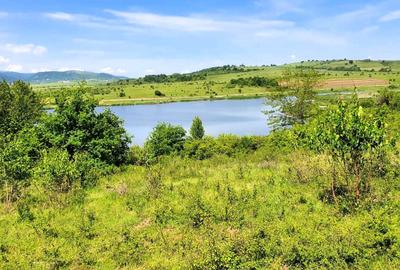 Teren de 3200 mp, în Săcel - 5