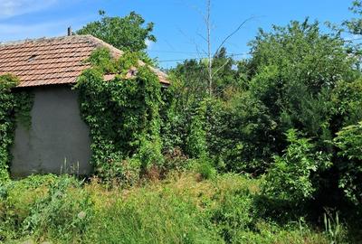 Casă cu 3 camere cu Teren 1150 Mp în Tămădău Mare - 8
