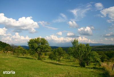 Teren de 600 mp, în Roșia