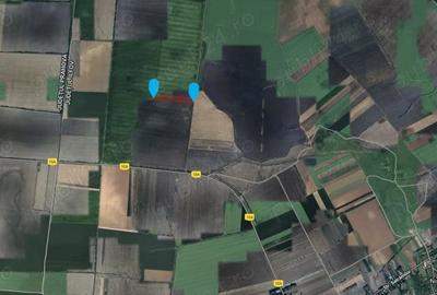 Teren de 53211 mp, în Merii Petchii - 1