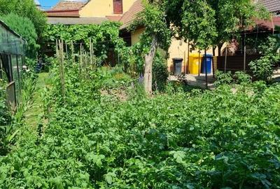 Casă cu 4 camere în Dârlos - 2