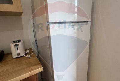 Apartament cu 3 camere decomandat, mobilat în Brazda lui Novac - 8