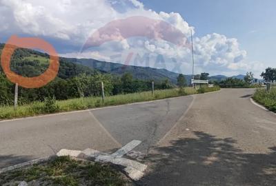 Teren de 128948 mp, în Munteni - 10