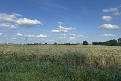 Teren de 9300 mp, în Pruni - 12